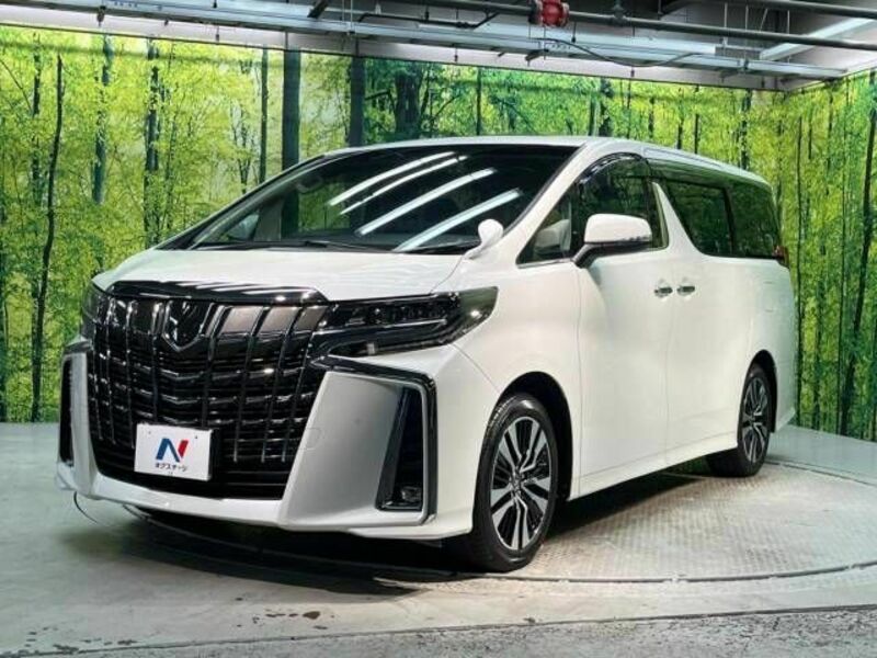 ALPHARD-19