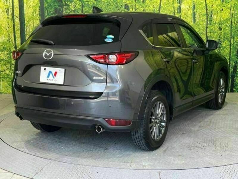 CX-5-17