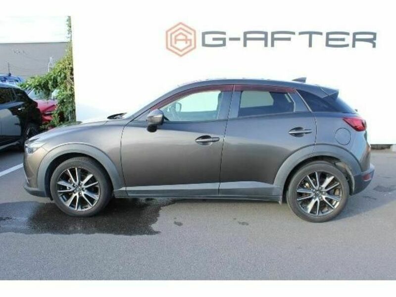 CX-3-9