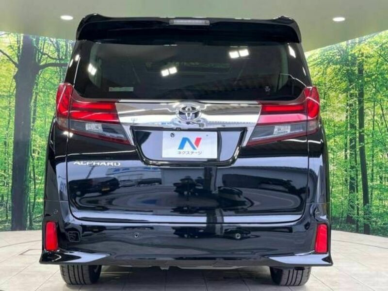 ALPHARD-16