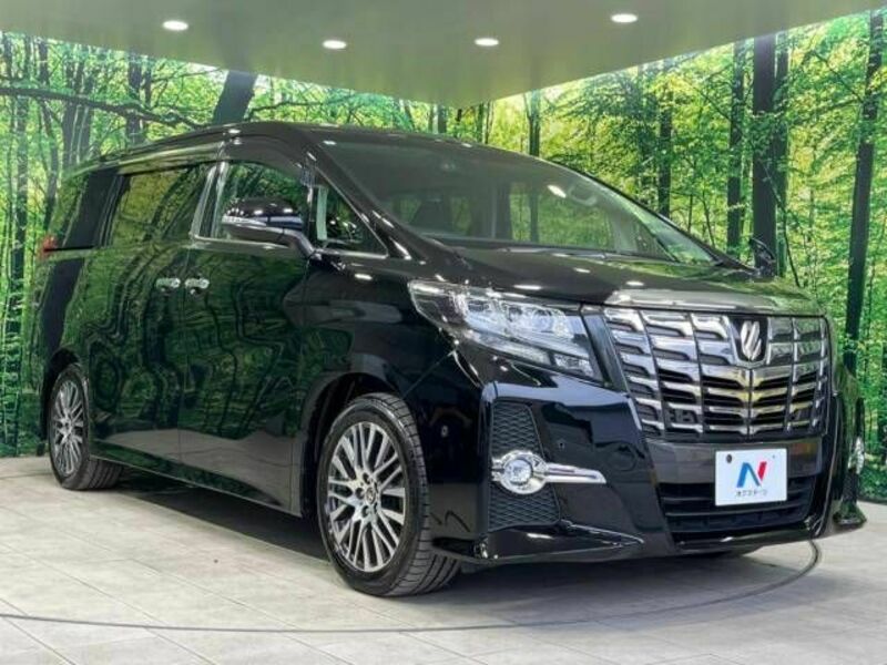 ALPHARD-17