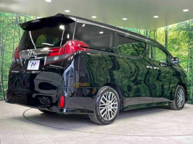 ALPHARD-18