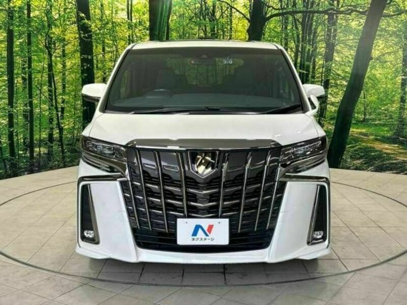 ALPHARD-15