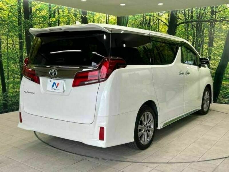 ALPHARD-18