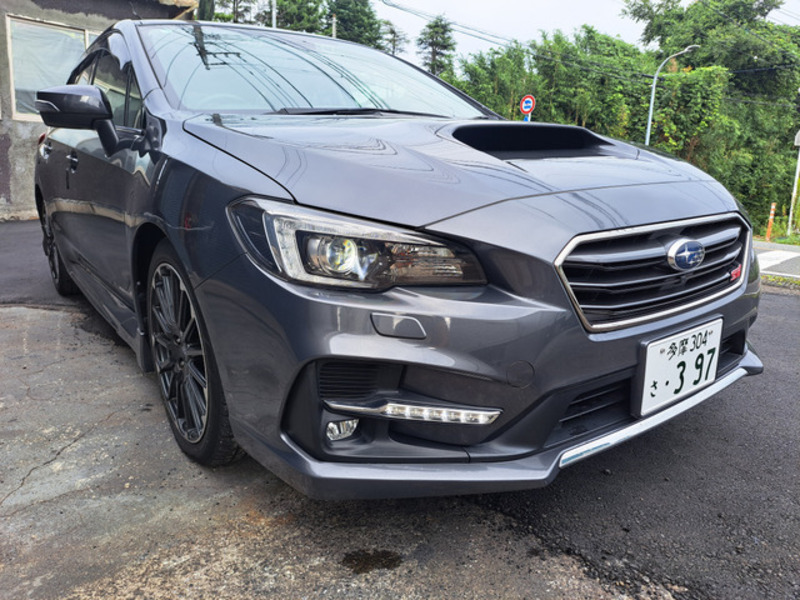 LEVORG-1