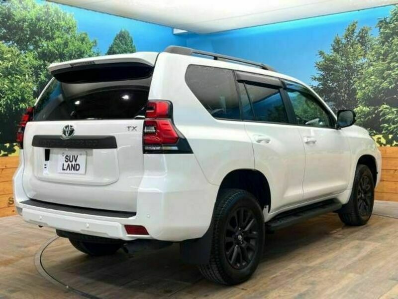 LAND CRUISER PRADO-17