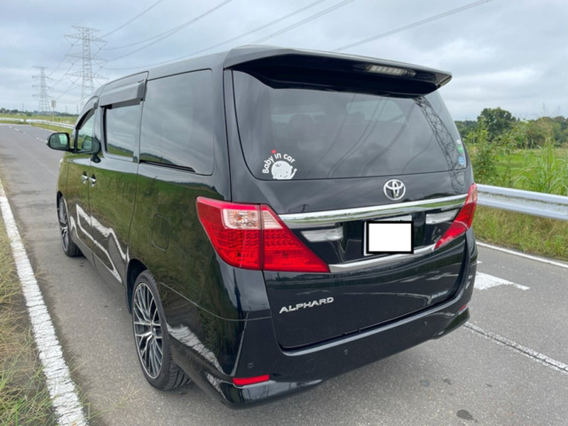 ALPHARD-6