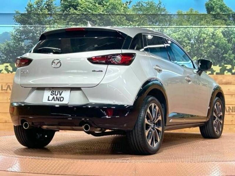 CX-3-16