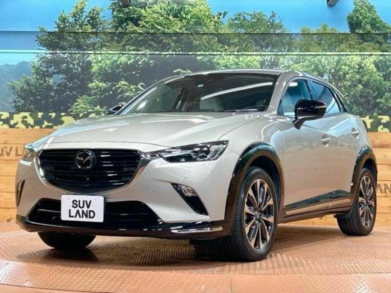 CX-3-19