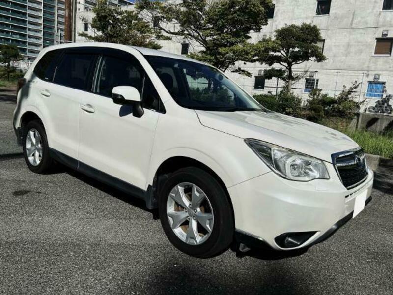 FORESTER-11