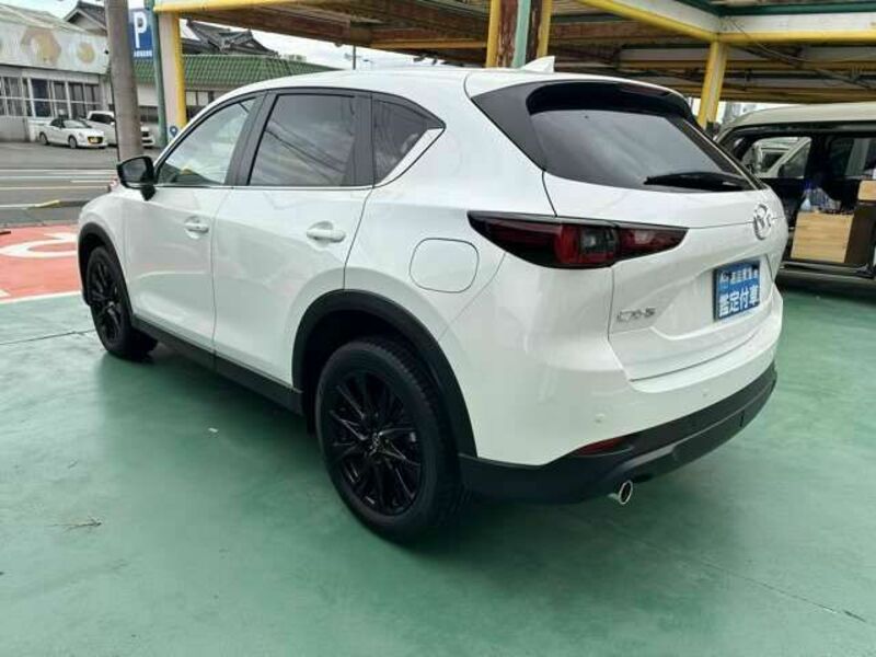 CX-5-3