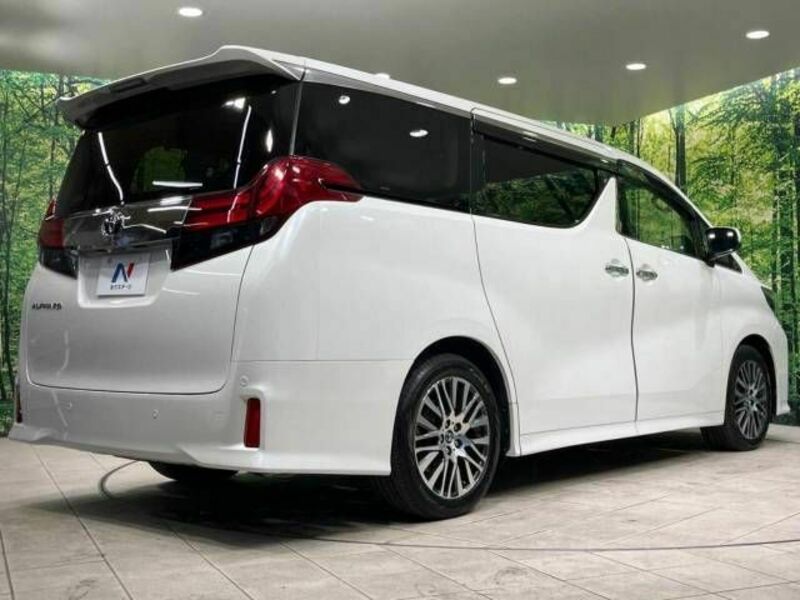 ALPHARD-18