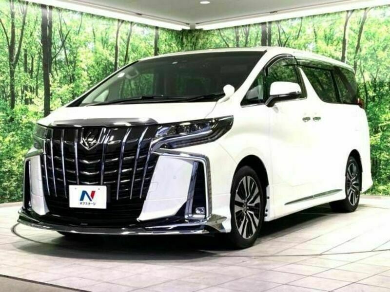 ALPHARD-17