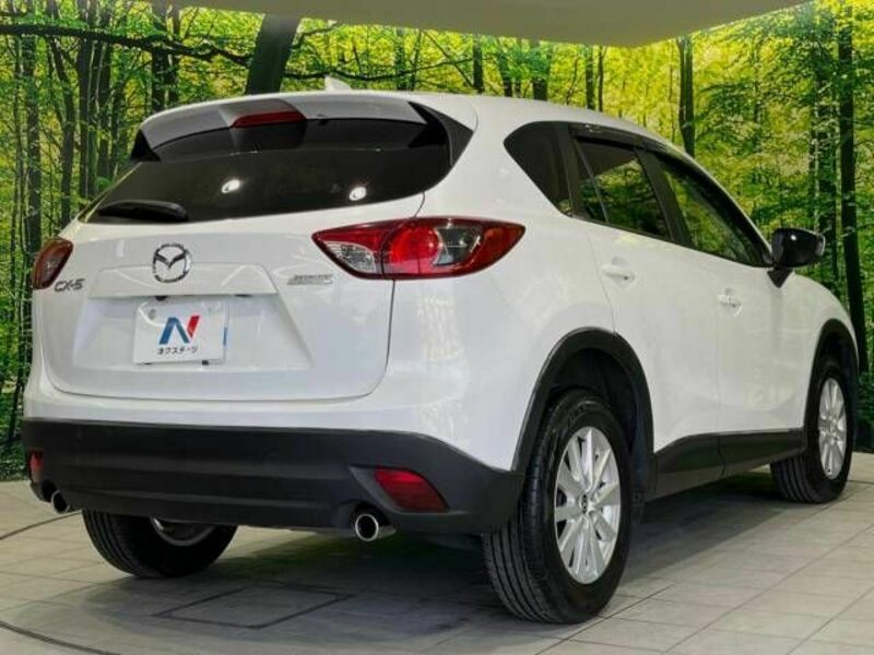 CX-5-17