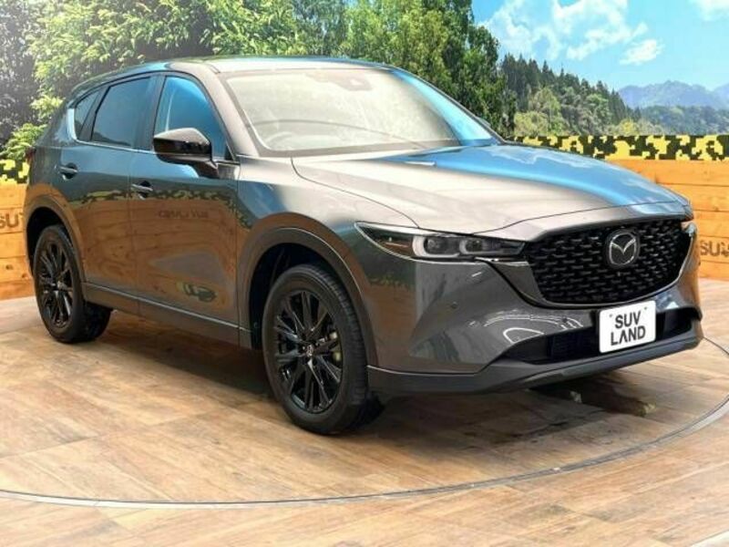 CX-5-16