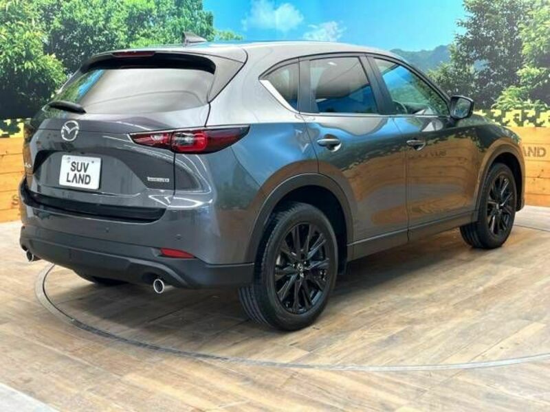 CX-5-17