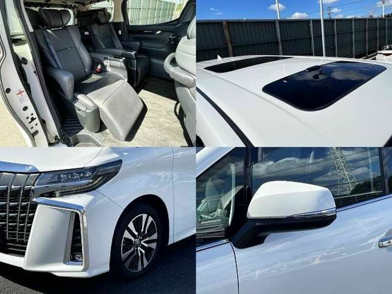 ALPHARD-7