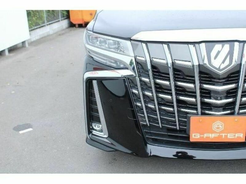 ALPHARD-11