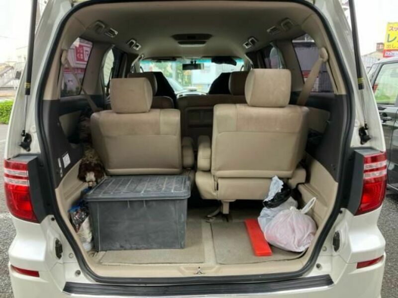 ALPHARD-10