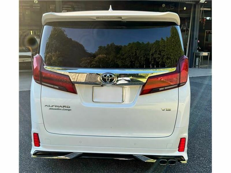 ALPHARD-6