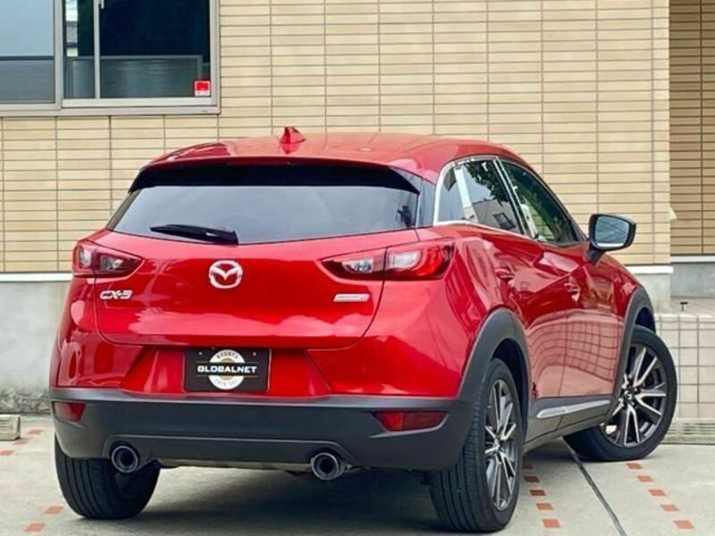 CX-3-6