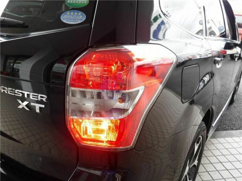 FORESTER-5