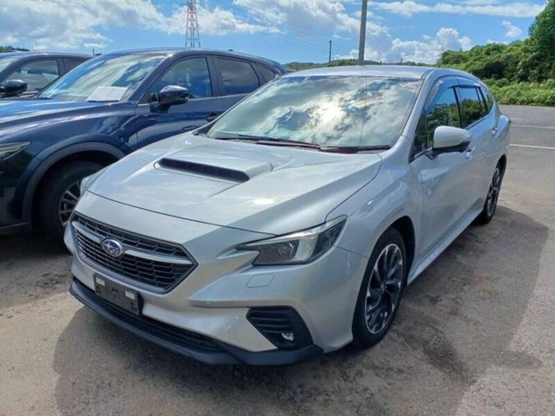 LEVORG-0