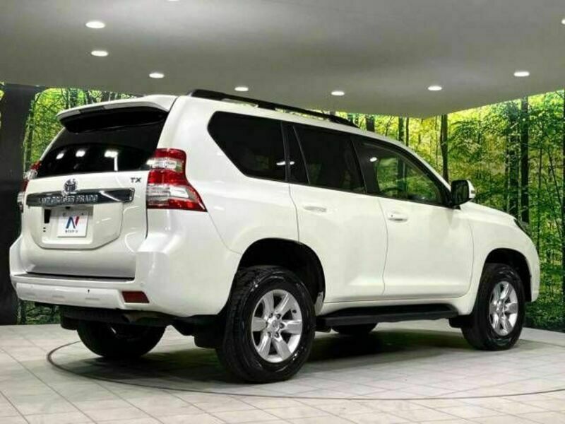 LAND CRUISER PRADO-17