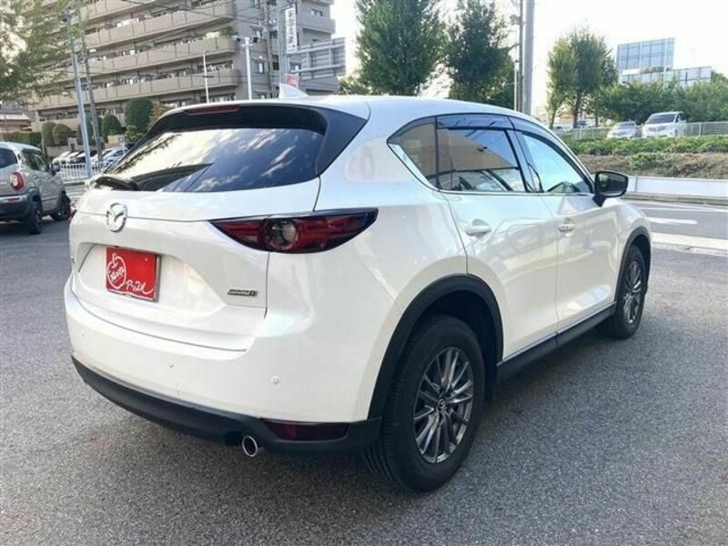 CX-5-6