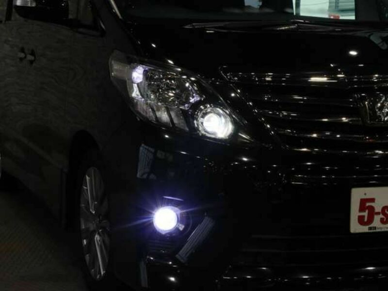 ALPHARD-14