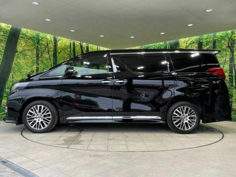 ALPHARD-3