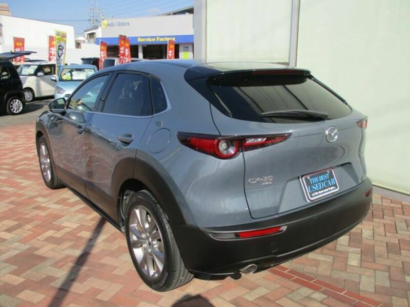 CX-30-2