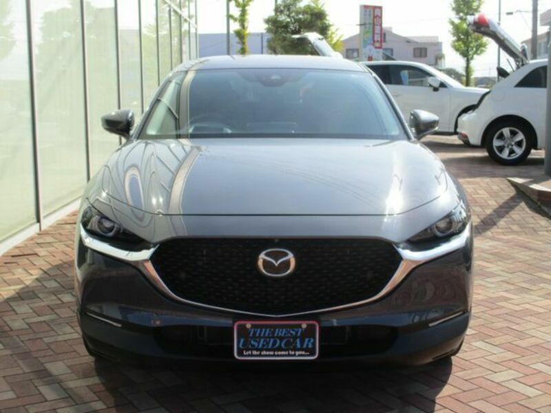 CX-30-3