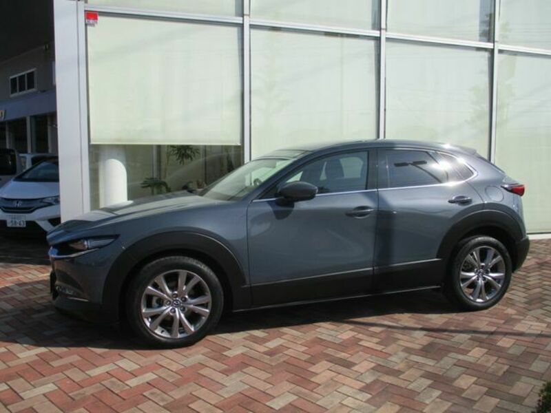 CX-30-4