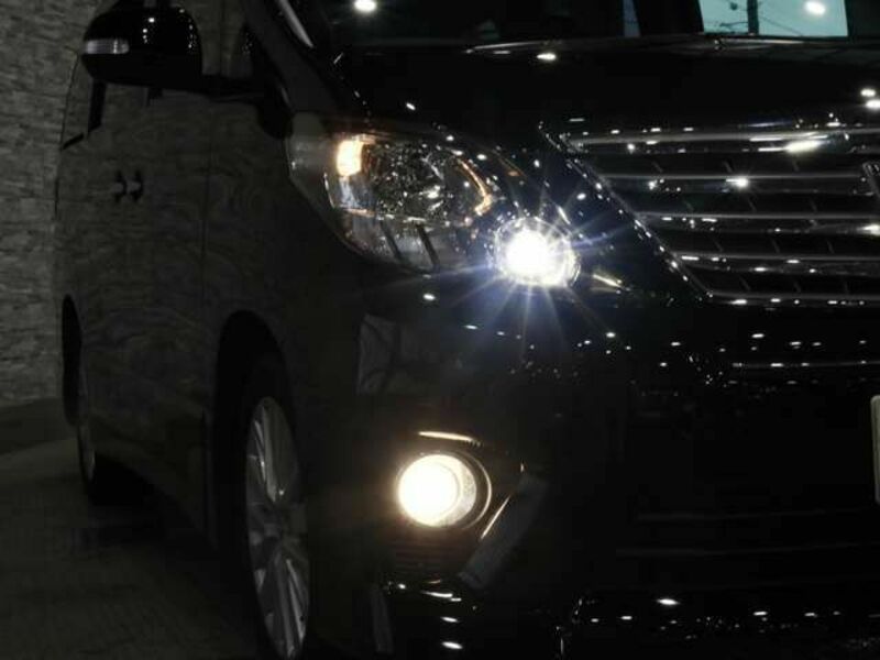 ALPHARD-14