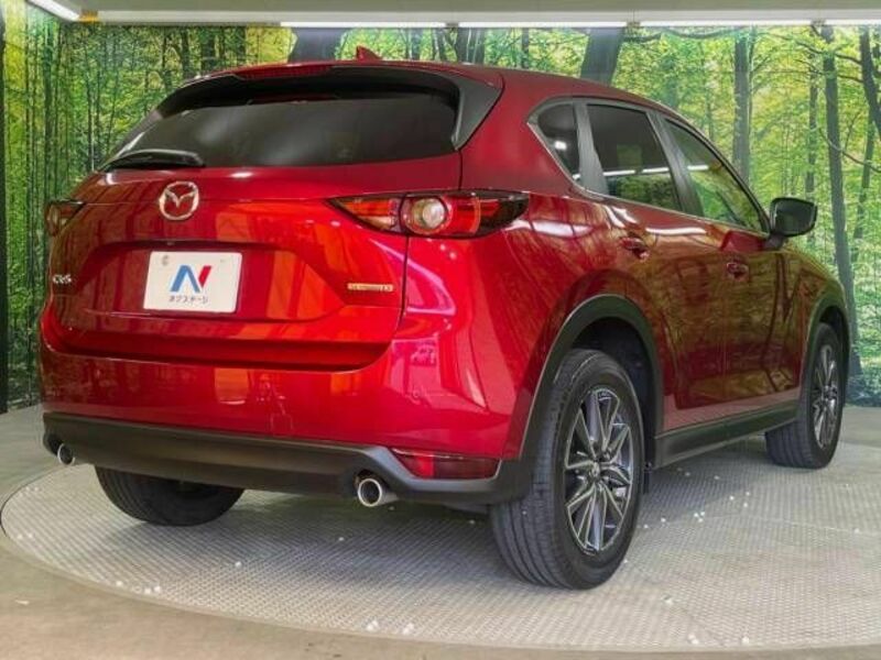 CX-5-18