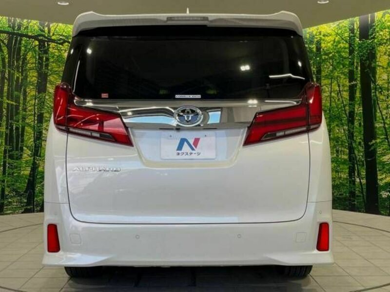 ALPHARD-16