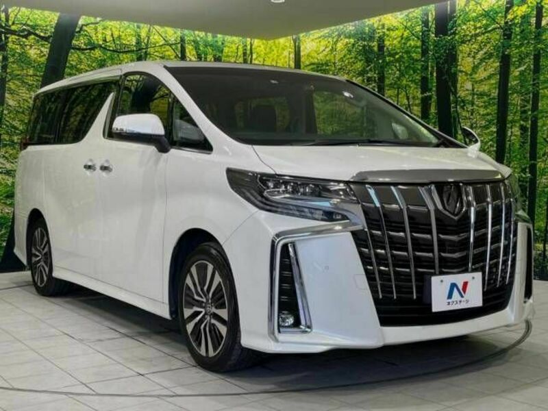 ALPHARD-17