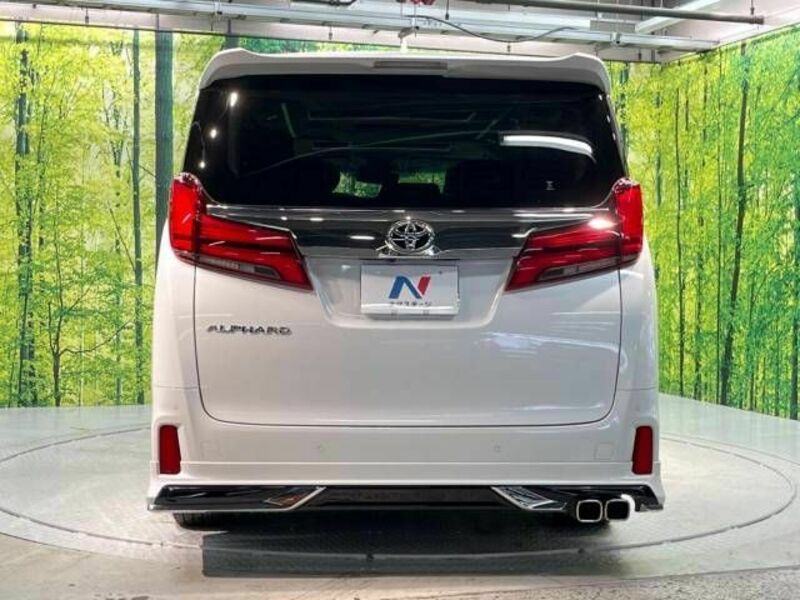 ALPHARD-16