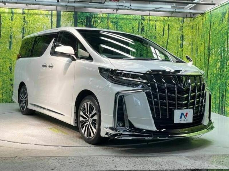 ALPHARD-17