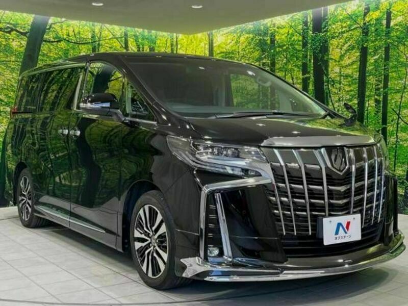 ALPHARD-17