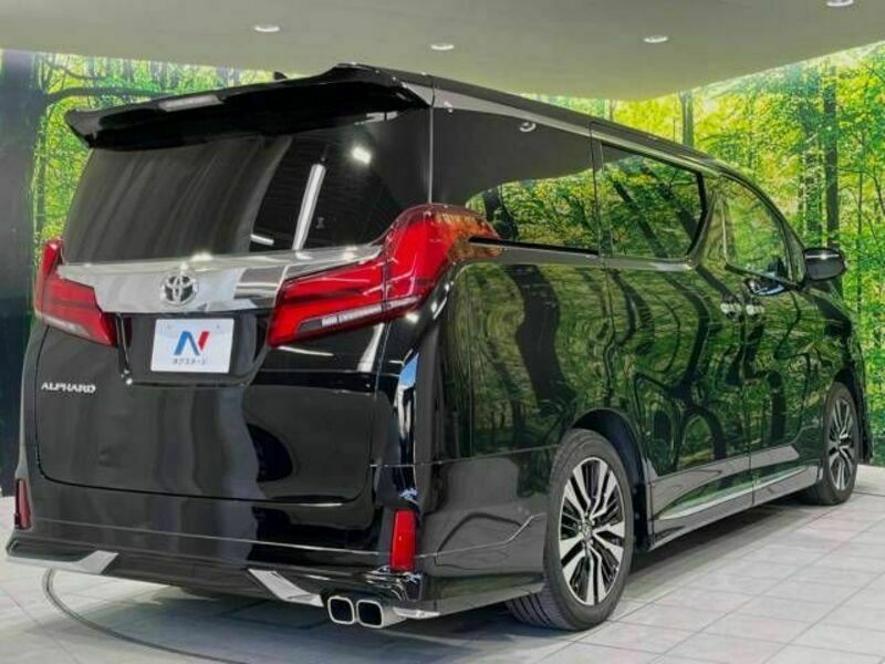 ALPHARD-18