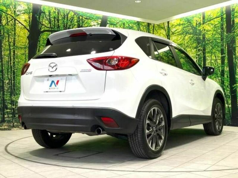 CX-5-17