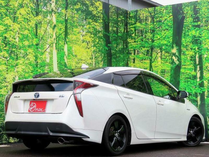 PRIUS-13