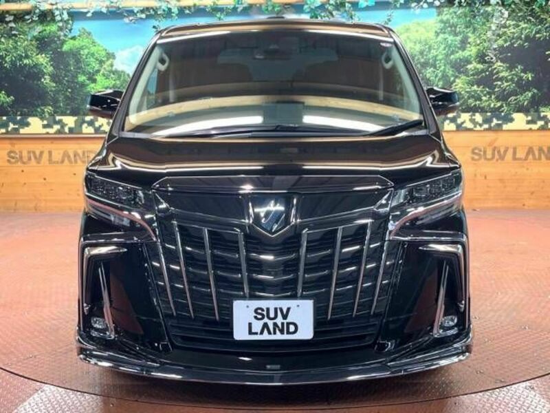 ALPHARD-17