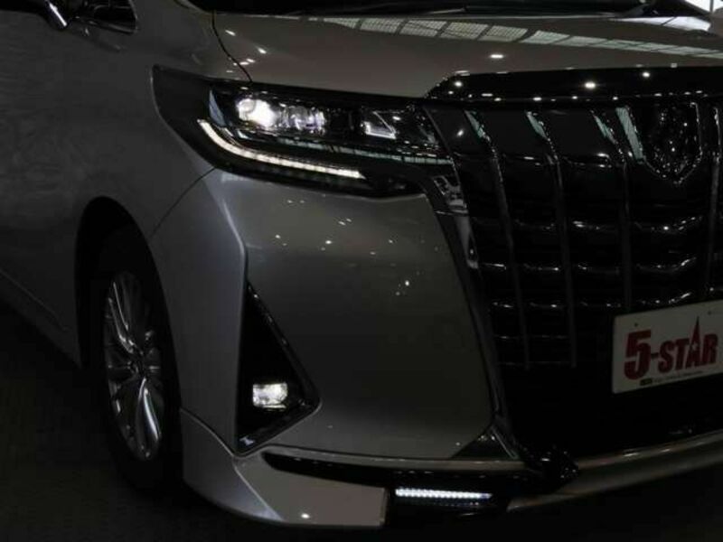 ALPHARD-8