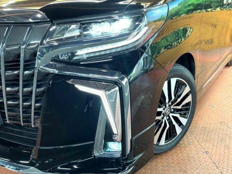 ALPHARD-14