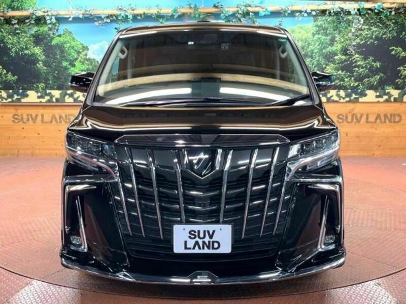 ALPHARD-16