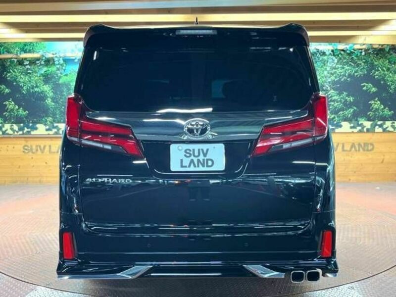 ALPHARD-17