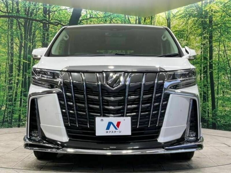 ALPHARD-15